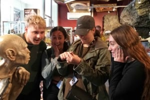 Wellington: City Highlights Guided Tour with Cable Car Ride