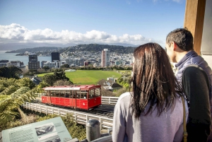 Wellington City Sights and Coastline 2.5-Hour Tour