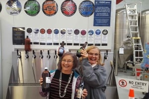 Wellington Craft Brewery Half-Day Guided Tour with Tastings