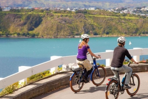 Wellington: Electric Bike Hire