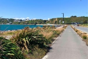 Wellington: Electric Bike Rental