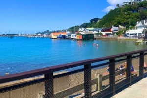 Wellington: Electric Bike Rental