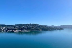 Wellington: Electric Bike Rental