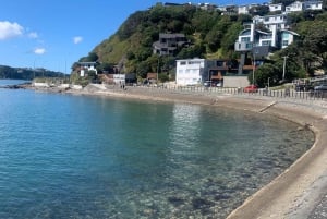 Wellington: Electric Bike Rental