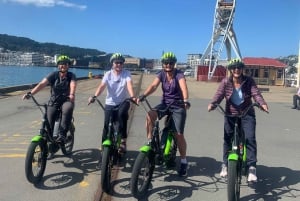 Wellington: Electric Bike Rental