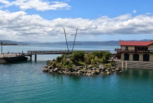 Wellington: Opastettu kaupunkikierros ja köysiradan lippu
