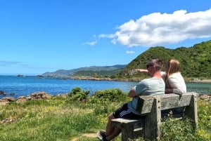 Wellington: Opastettu kaupunkikierros ja köysiradan lippu