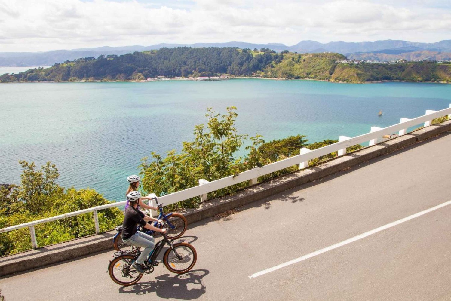 Wellington: Guided Sightseeing Tour by Electric Bike