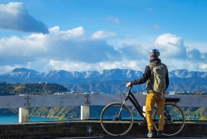 Wellington: 3-4 hr Guided Sightseeing Tour by Electric Bike