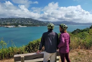 Wellington: Guided Sightseeing Tour by Electric Bike