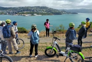 Wellington: Guided Sightseeing Tour by Electric Bike