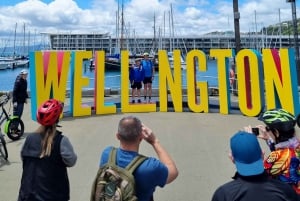 Wellington: Guided Sightseeing Tour by Electric Bike