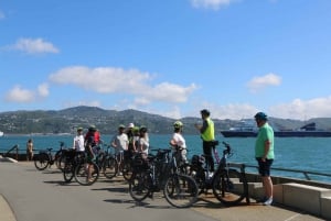 Wellington: Guided Sightseeing Tour by Electric Bike