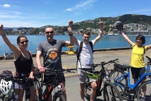 Wellington: Guided Sightseeing Tour by Electric Bike