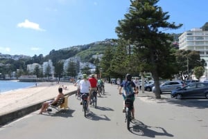 Wellington: Guided Sightseeing Tour by Electric Bike