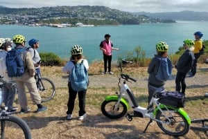 Wellington: Guided Sightseeing Tour by Electric Bike
