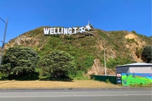 Wellington: Guided Sightseeing Tour by Electric Bike