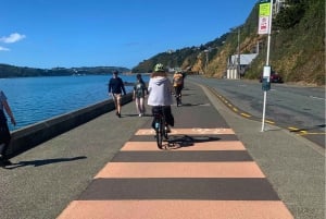 Wellington: Guided Sightseeing Tour by Electric Bike