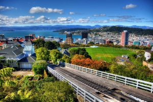 Best Scenic Tours In Wellington