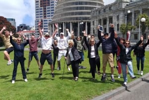 Wellington: Halvdagstur i byens høydepunkter og taubanetur