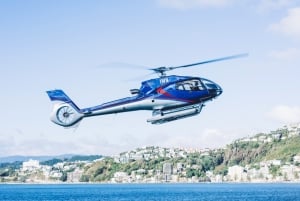 Wellington Harbour Heli-Flight