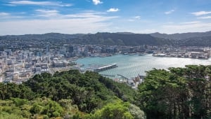 Wellington Harbour Heli-Flight