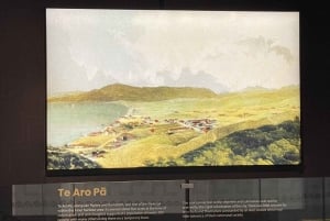 Wellington: Hidden Māori Treasures Tour