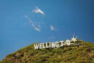 Wellington: Lord of the Rings & Weta Workshop Full-Day Tour