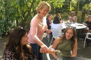 Wellington: Private Weingut-Tour in Martinborough mit Mittagessen