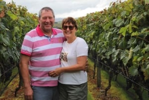 Wellington: Private Weingut-Tour in Martinborough mit Mittagessen