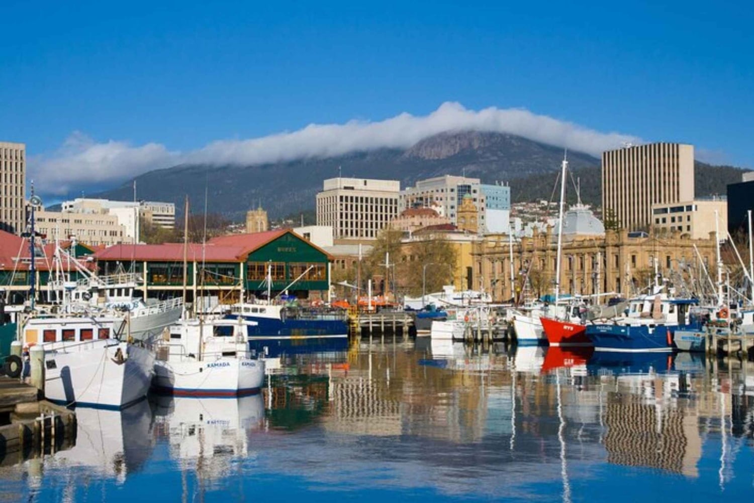 Wellington: Privat skræddersyet tur med en lokal guide