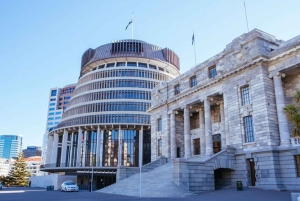 Wellington: Privat skræddersyet tur med en lokal guide