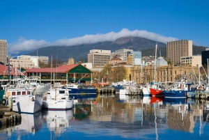 Wellington: Privat skræddersyet tur med en lokal guide