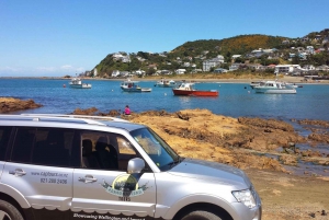 Best Elderly Activities In Wellington