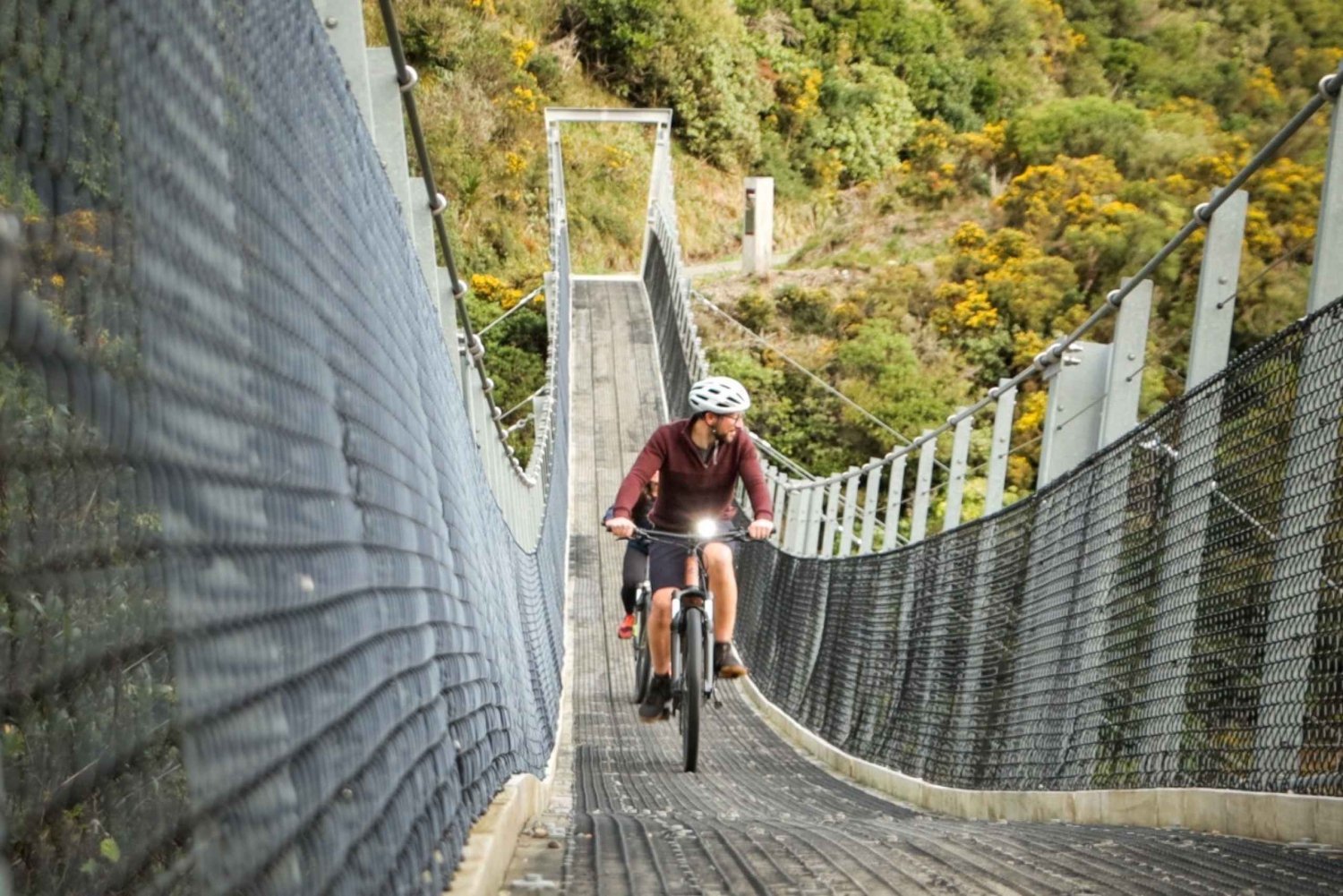 Wellington: Remutaka Rail Trail Cycle Tour