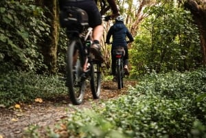 Wellington: Remutaka Rail Trail Cycle Tour