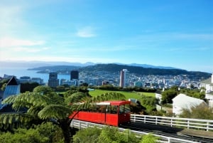 Best Wellington Sightseeing