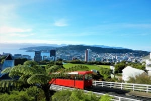 Wellington: Taubanebillett tur/retur