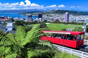 Wellington: Return Cable Car Ticket