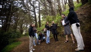 Adventure Wellington