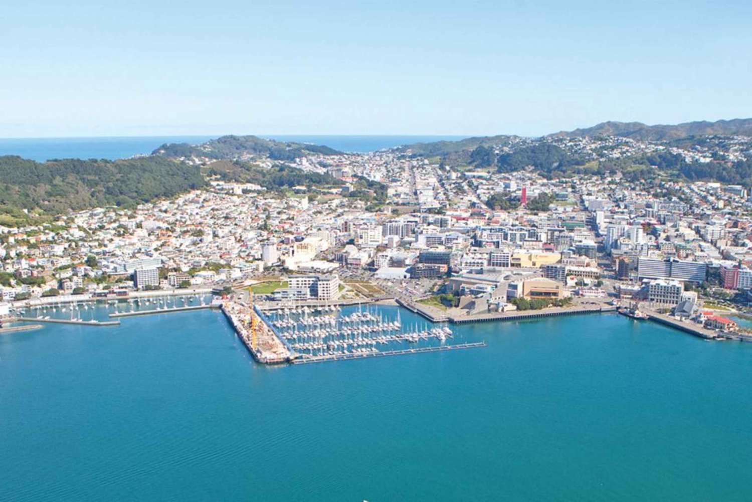 Best Scenic Tours In Wellington