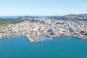 Wellington: Scenic South Coast Discovery Helicopter Flight