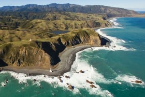 Wellington: Scenic South Coast Discovery Helicopter Flight