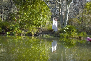 Wellington: Secret Realms of Middle-earth - Lothlorien