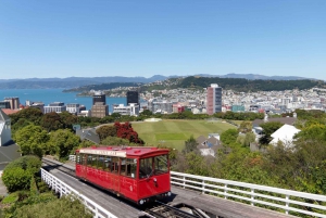 Best Scenic Tours In Wellington