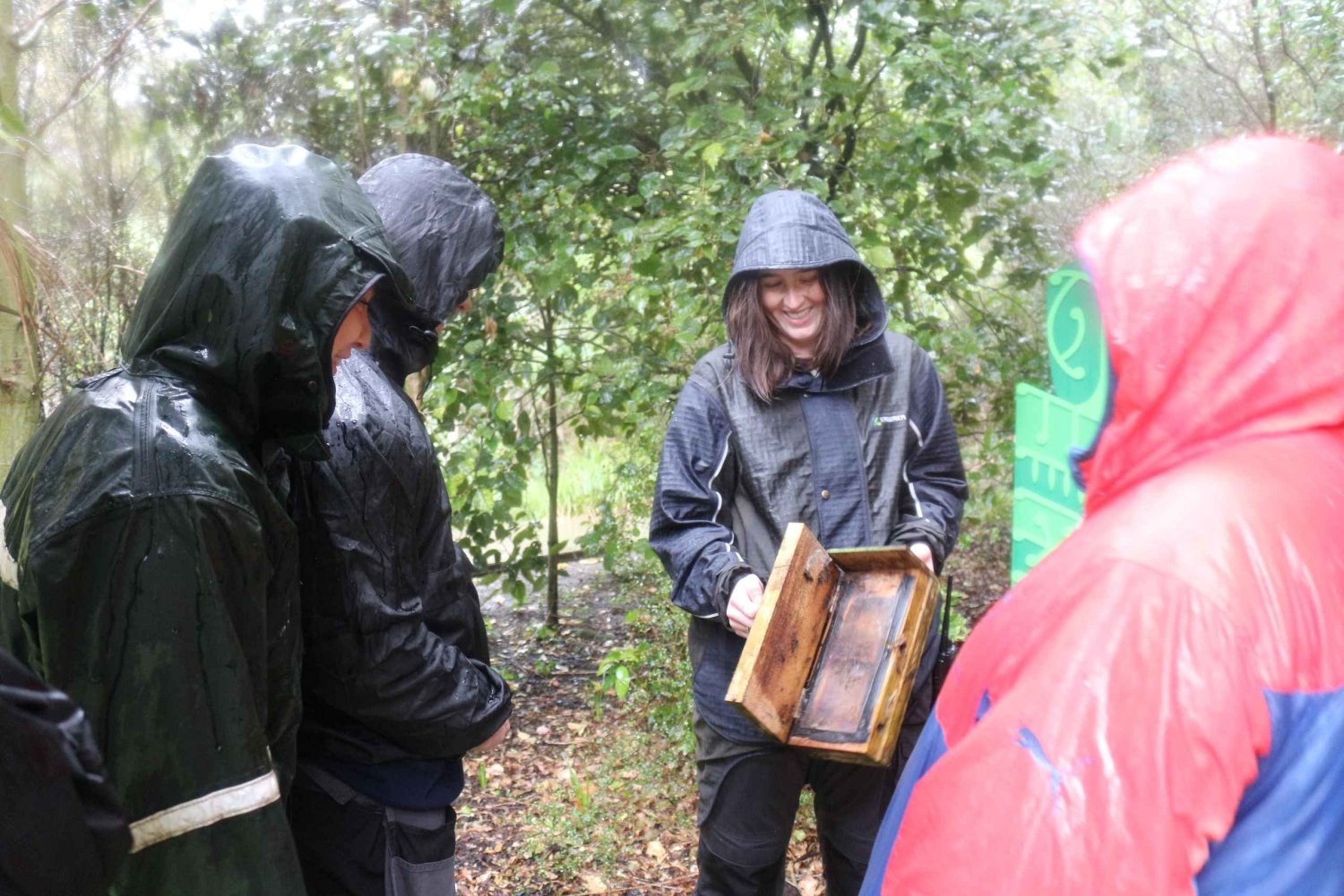 Wellington Zoo - Animals of Aotearoa Group Tour