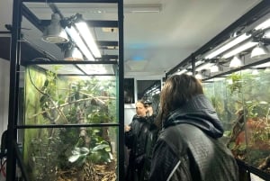 Zoológico de Wellington - Animales de Aotearoa - Visita en grupo
