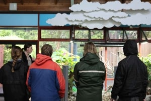 Zoológico de Wellington - Animales de Aotearoa - Visita en grupo