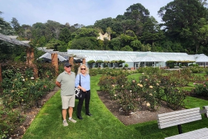 Wellington's Chocoholics Walking Odyssey