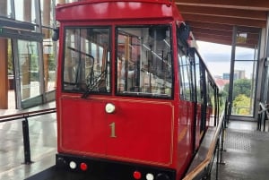 L'odyssée historique à pied de Wellington
